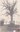 Bierwart - Arbre de Sainte-Barbe