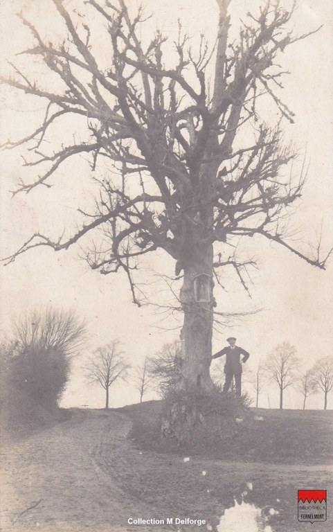Bierwart - Arbre de Sainte-Barbe