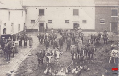 Cortil-Wodon - [ Cour de la ferme Fossion ]