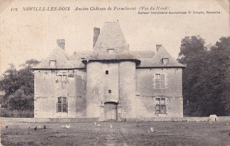 Noville-les-Bois - 102 Les ruines du château de Fernelmont (Vue du nord)
