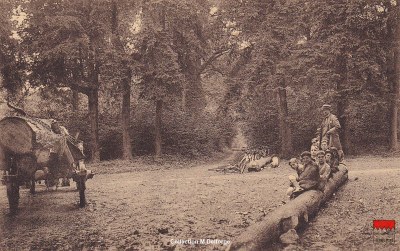 Noville-les-Bois - Paysage au bois de Fernelmont