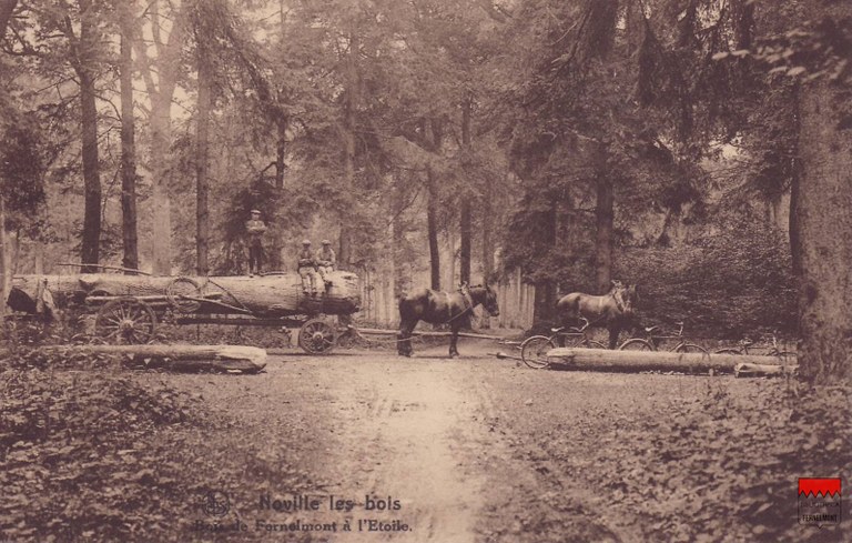 Noville-les-Bois - Bois de Fernelmont à l'Étoile